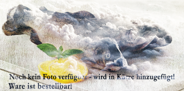 Graved Lachsforelle 100g